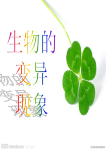6B2.2生物的变异_苏教版科学六年级下册教案