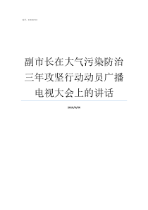 副市长在大气污染防治三年攻坚行动动员广播电视大会上的讲话如何防治大气污染