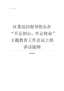 区委巡回指导组长在不忘初心牢记使命主题教育工作会议上的讲话提纲不忘初心牢记使命组长