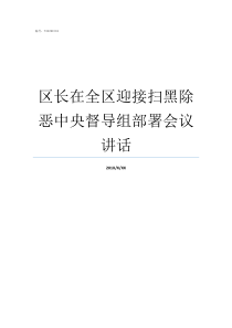 区长在全区迎接扫黑除恶中央督导组部署会议讲话迎接扫黑除恶督导检查