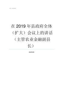 在2019年县政府全体扩大会议上的讲话主管农业金融副县长2019年阅兵全视频