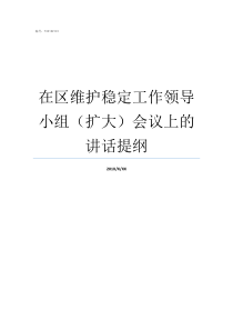 在区维护稳定工作领导小组扩大会议上的讲话提纲