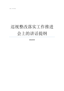 巡视整改落实工作推进会上的讲话提纲