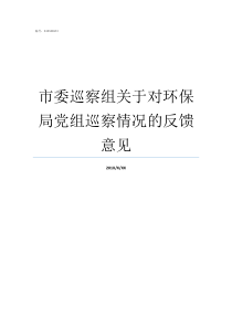 市委巡察组关于对环保局党组巡察情况的反馈意见市委巡察组