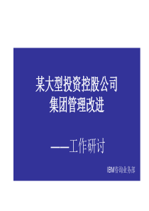 ibm集团管理模型