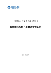 集团客户分层分级服务管理办法(校对版)