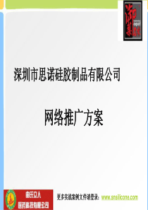 深圳市思诺硅胶制品有限公司-网络推广方案