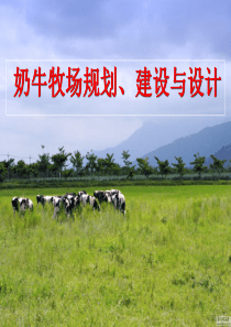 奶牛牧场建设规划与设计