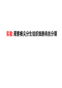 有丝分裂实验