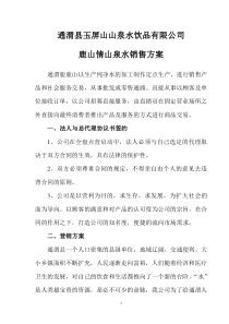 销售方案及团队建设