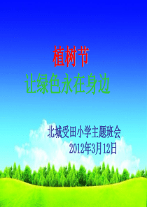 植树节 主题班会