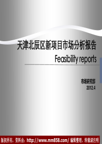 天津北辰区新项目市场分析报告