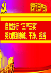 自觉践行“三严三实”努力做到忠诚干净担当