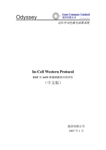 In-Cell-Western-Protocol