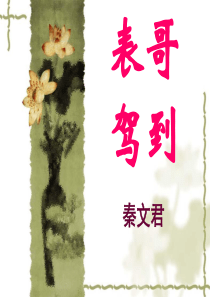 表哥驾到整理精华版