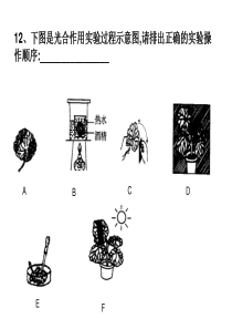 植物的三大作用习题