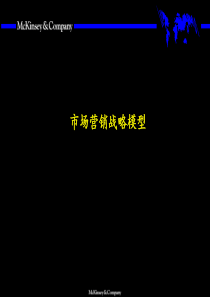 95市场营销战略全套分析模型