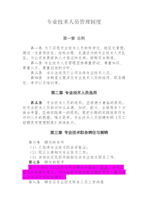 专业技术人员管理制度