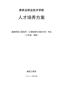 道路桥梁工程技术(工程检测与试验方向)
