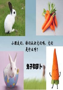 1《大萝卜》(幼儿园小班下学期PPT课件)