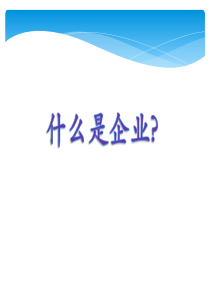 企业和企业类型