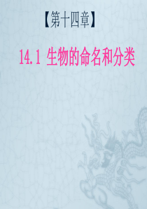 第14章 第一节 生物的分类和命名(2.17) 课件
