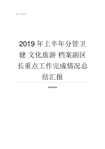 2019年上半年分管卫健nbsp文化旅游nbsp档案副区长重点工作完成情况总结汇报2019年上半年全