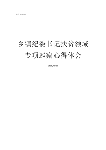乡镇纪委书记扶贫领域专项巡察心得体会