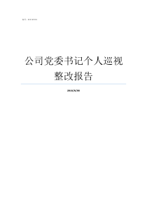 公司党委书记个人巡视整改报告党委书记书记巡察整改