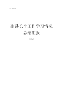 副县长个工作学习情况总结汇报