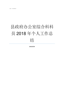 县政府办公室综合科科员2018年个人工作总结办公室综合科职责
