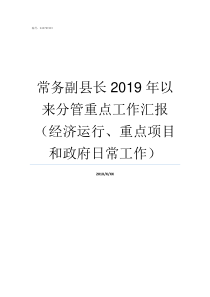 常务副县长2019年以来分管重点工作汇报经济运行重点项目和政府日常工作2019年新县常务副县长