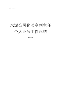 水泥公司化验室副主任个人业务工作总结水泥化验室手册