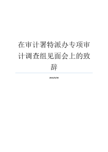 在审计署特派办专项审计调查组见面会上的致辞审计署娄仲