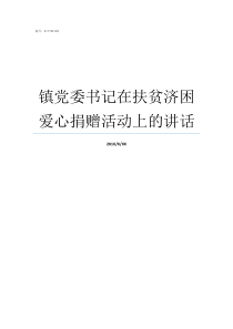 镇党委书记在扶贫济困爱心捐赠活动上的讲话镇党委书记一般升什么