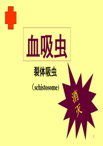 血吸虫-ppt课件