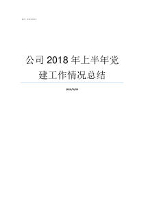 公司2018年上半年党建工作情况总结