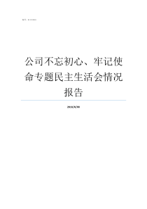 公司不忘初心牢记使命专题民主生活会情况报告