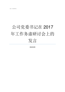 公司党委书记在2017年工作务虚研讨会上的发言党委书记
