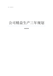 公司精益生产三年规划