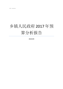 乡镇人民政府2017年预算分析报告