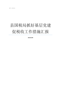 县国税局抓好基层党建促税收工作措施汇报抓好基层党建的关键