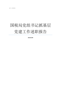 国税局党组书记抓基层党建工作述职报告基层国税局