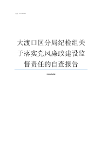 大渡口区分局纪检组关于落实党风廉政建设监督责任的自查报告重庆公安局大渡口分局