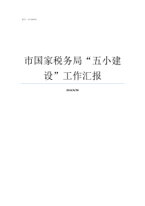 市国家税务局五小建设工作汇报