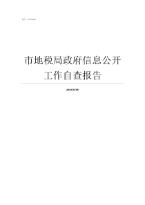市地税局政府信息公开工作自查报告