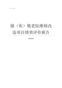 镇街敬老院维修改造项目绩效评价报告高坨镇敬老院