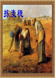 拣麦穗