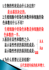 人的性别遗传-公开课-课件