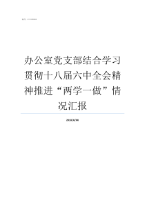 办公室党支部结合学习贯彻十八届六中全会精神推进两学一做情况汇报